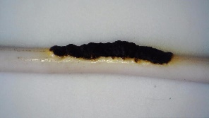 C:\Users\Patricio\Desktop\Articulo Aislantes de conductores\aislante 3\ImageFile112.JPG