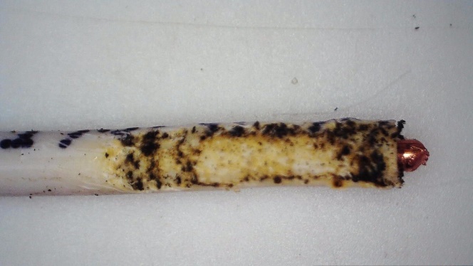 C:\Users\Patricio\Desktop\Articulo Aislantes de conductores\aislante 3\ImageFile126.JPG