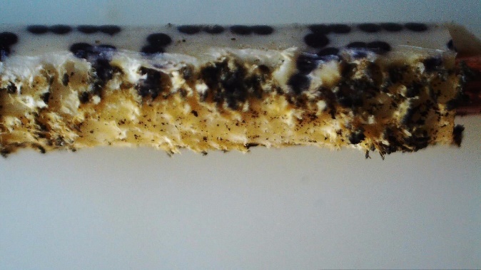 C:\Users\Patricio\Desktop\Articulo Aislantes de conductores\aislante 3\ImageFile129.JPG